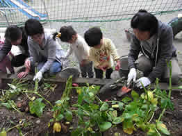 出張ひろば「メープルの森」イメージ1