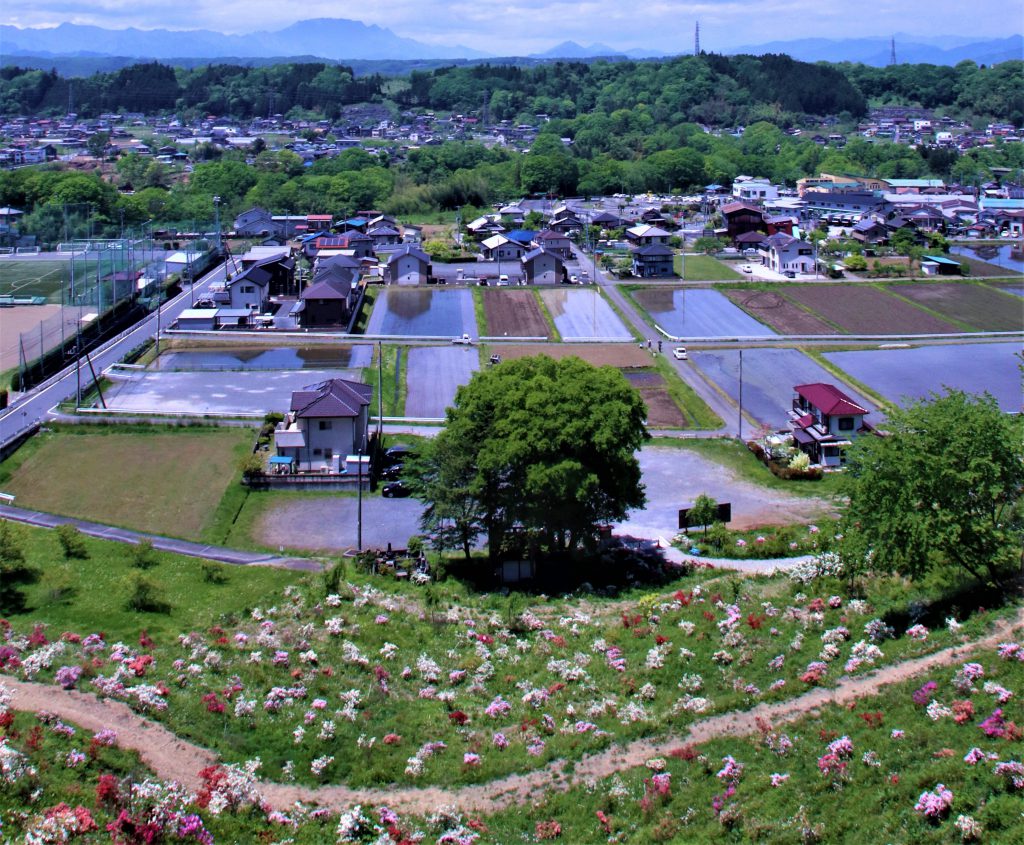 花咲山公園 公式 横瀬町ホームページ 埼玉県秩父郡